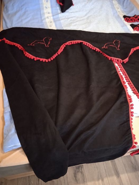 Zasłonki samochodowe Man