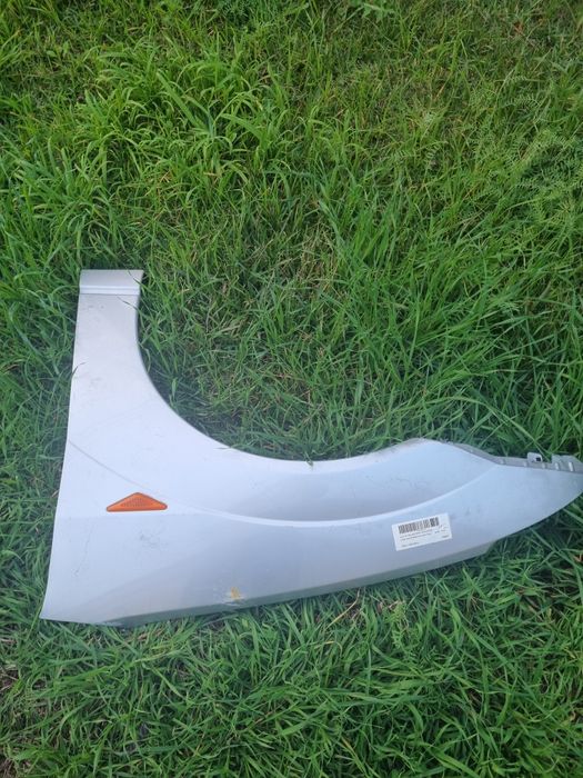 Guarda Lamas Esq Ford Focus 1.8 2002