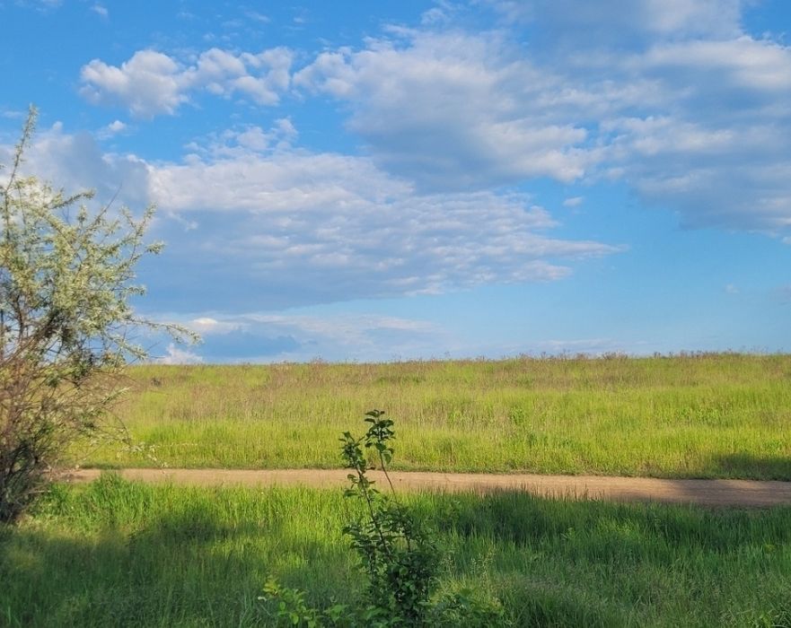 1 гектар в селе Красносёлка с отличным расположением