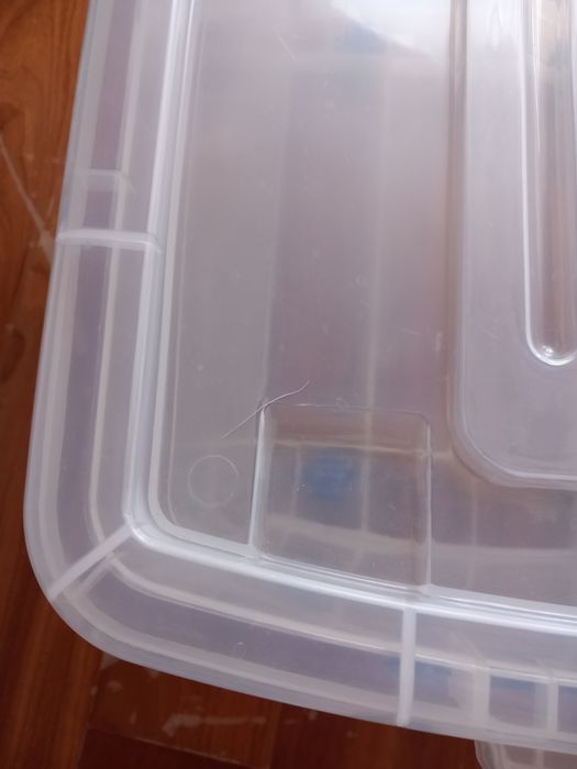 Caixas de arrumação com rodas