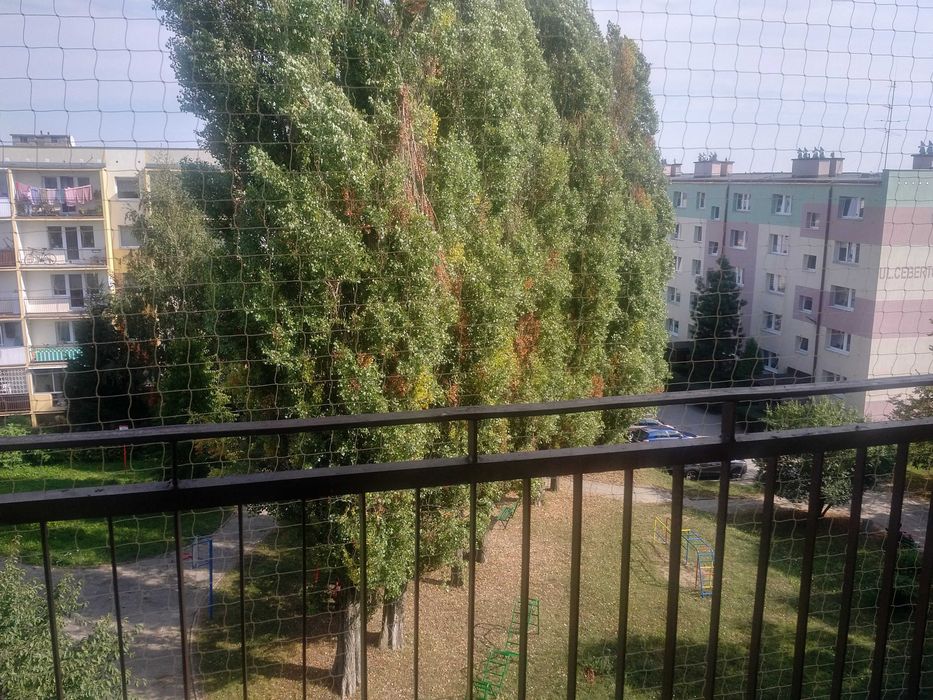Mieszkanie – Gdańsk, Chełm G, Chełm - Widok 3