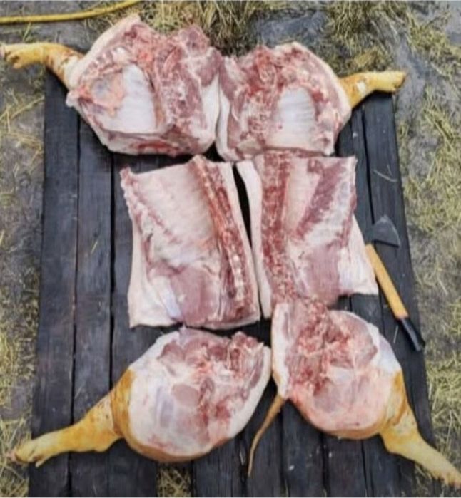 продам свіженьке м'ясо
