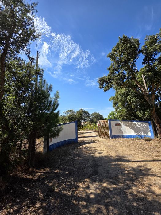 Quinta a 5 minutos da praia, Costa Alentejana!