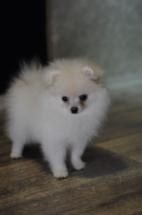 Плюшевая мини девочка