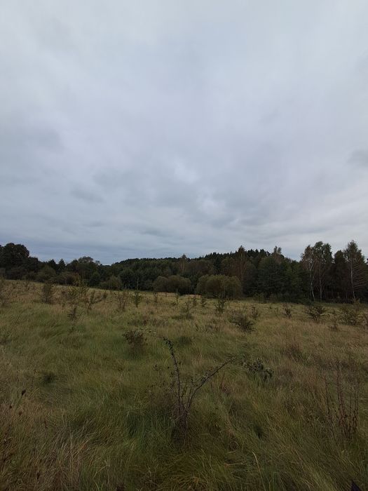 Продаж Земельної ділянки