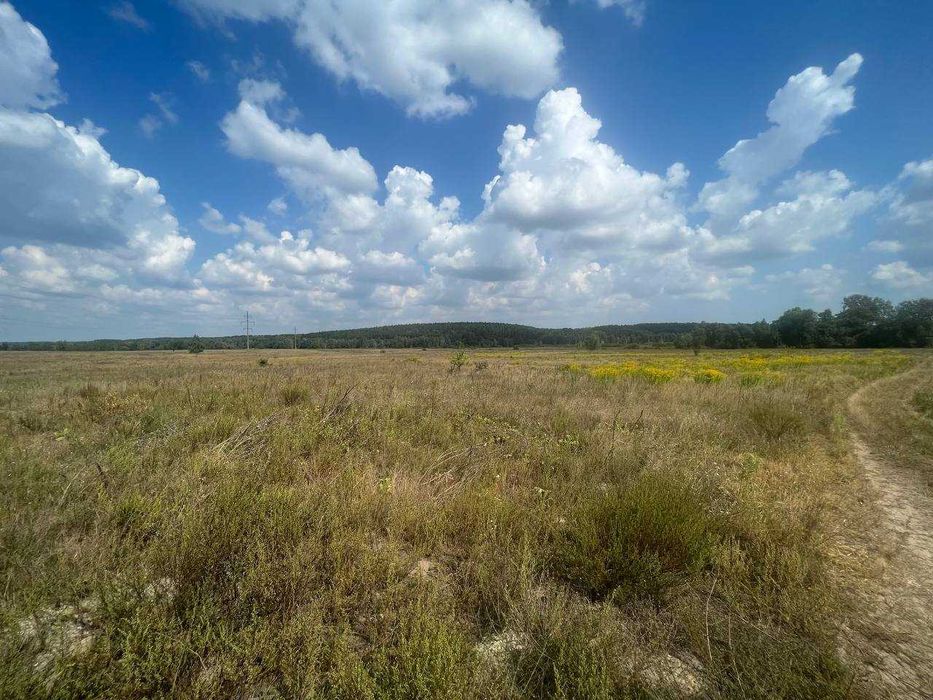 Продаж ділянки під товарне виробництво 160 соток