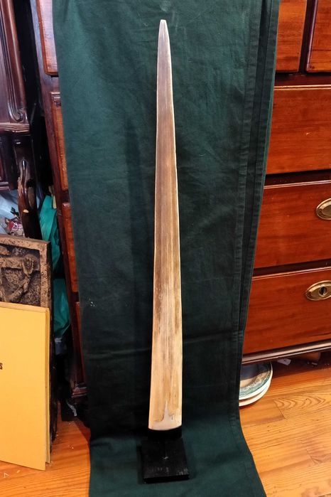 Presa Peixe Espada Grande