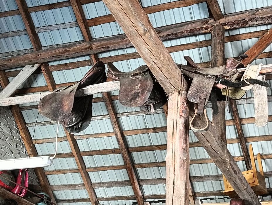 Siodlo konne 3 sztuki