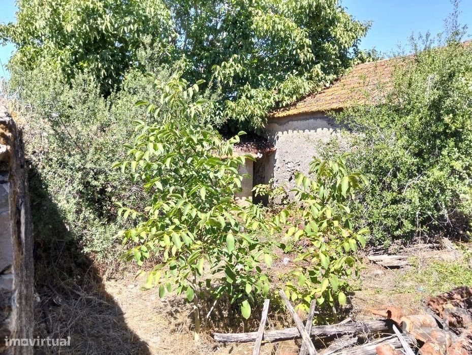 Casa de Campo em Brogueira, Parceiros de Igreja e Alcorochel
