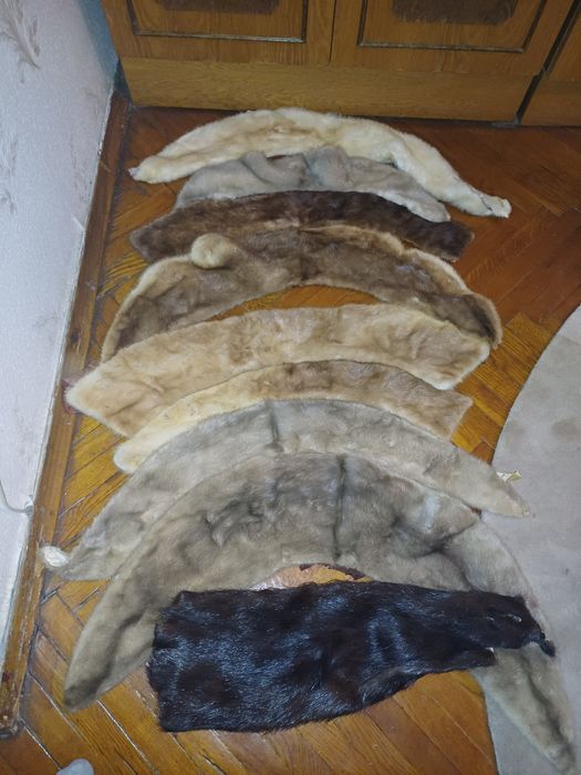 Продам шкурки норок.