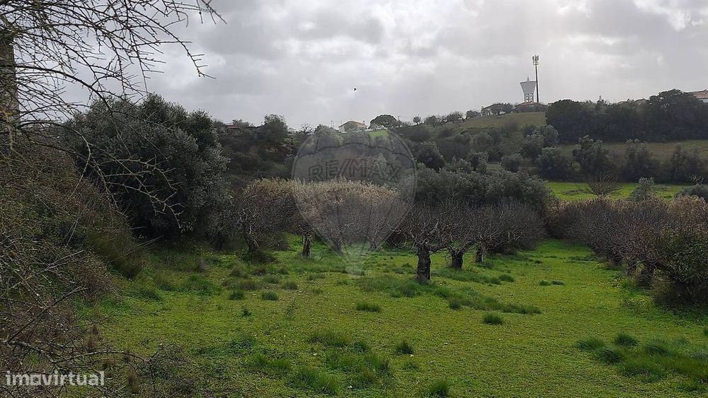 Terreno  para venda