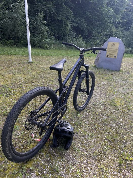 Dartmoor jibbird v2