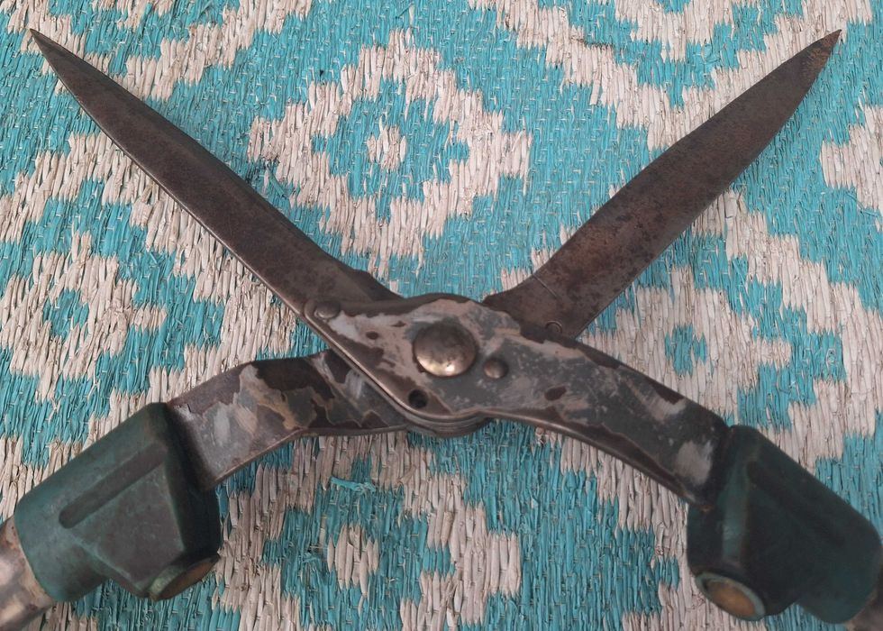 Stare Nożyce do przycinania żywopłotu itp WYSYŁAM Olx