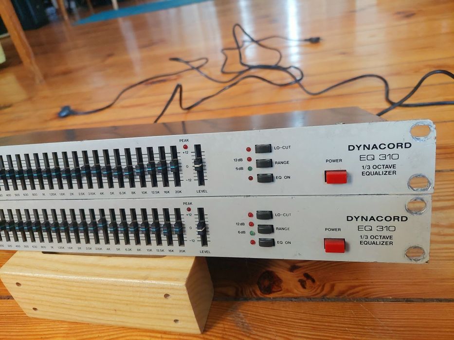 2 x Dynacord EQ310 analog 1/3 octave equalizer