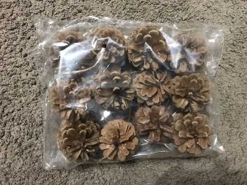 сосновые шишки . Соснові Шишки