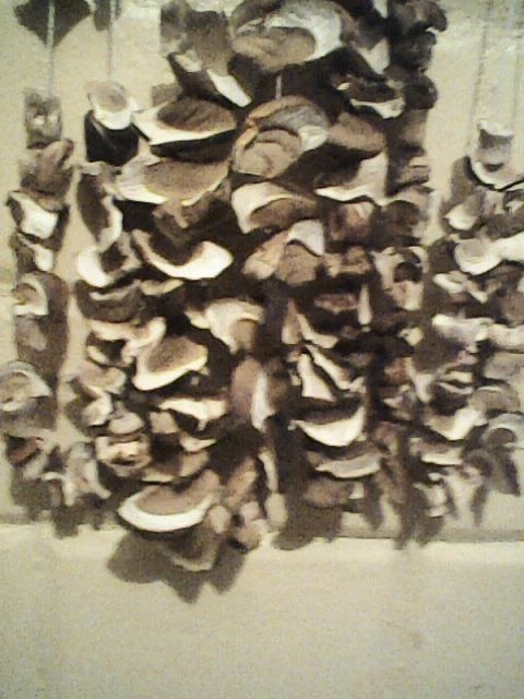 Slrzedam suszone grzyby .  4 sloiki 1l Borowik szlachetny i podgrzybek