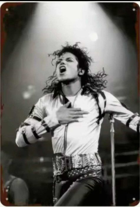 Металлическая винтажная табличка "Майкл Джексон" 14х20 см