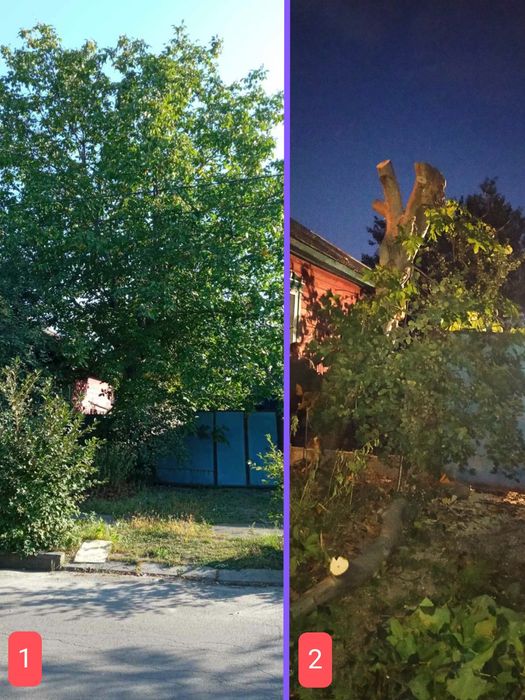 Видалення аварійних дерев будь-якої складності