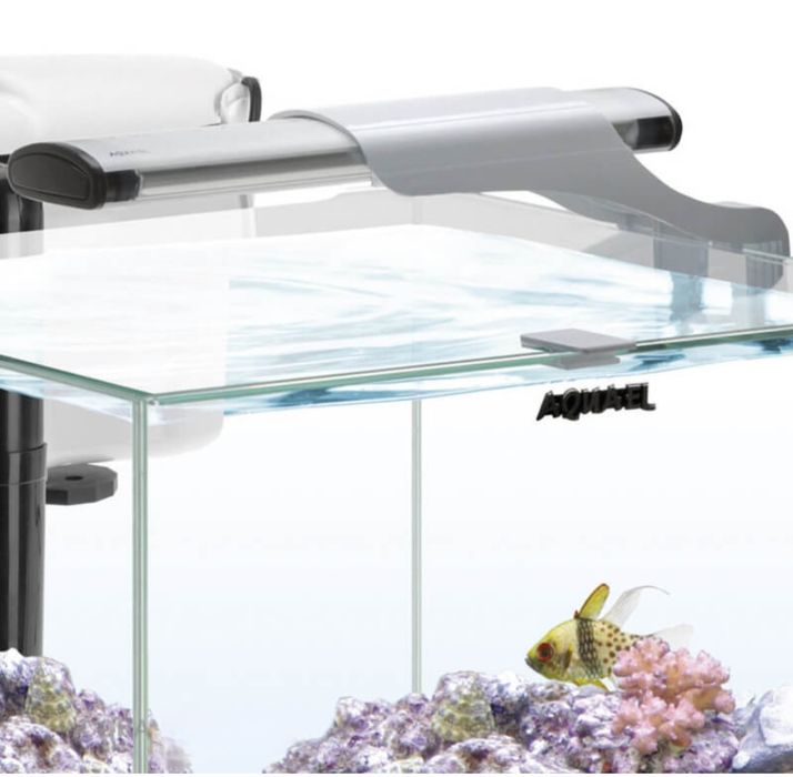 Aquário nano-reef de 49 litros