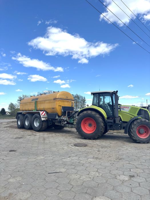 Gnojowica tucznikowa