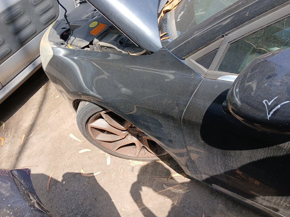 Guarda-lamas esquerdo CITROËN C5 III Break (RW_)