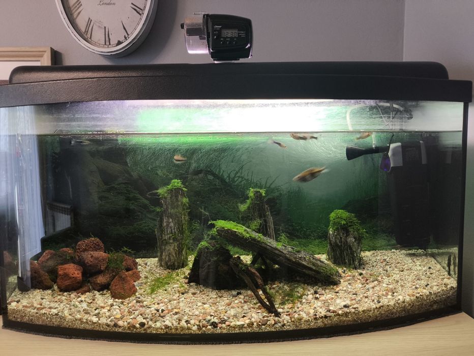 Akwarium 112 l pełen zestaw