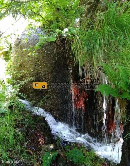 Terrenos Rústicos Em Soalhães