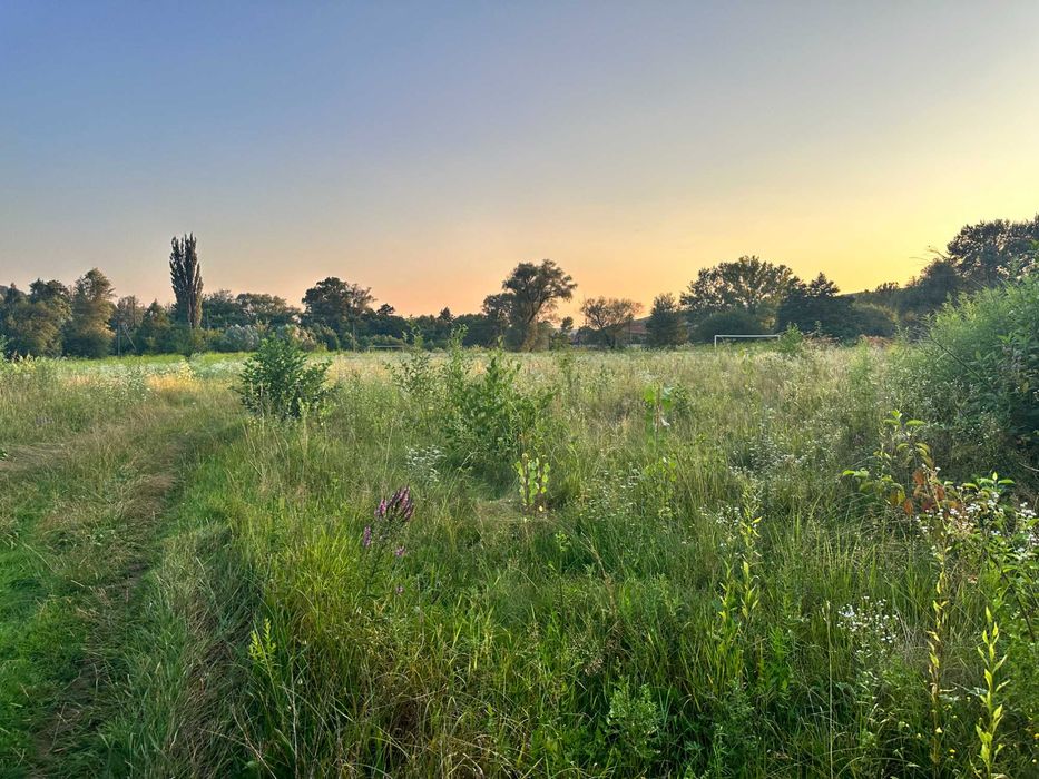 Продаж ділянки під лісом (район ресторану "Камелот")