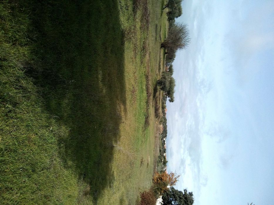Terreno  rustico Tomar (2208 m2)