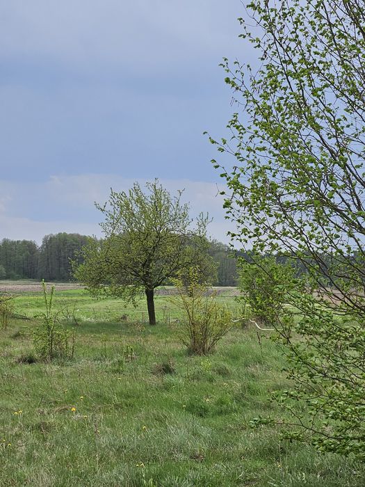 Sprzedam działkę