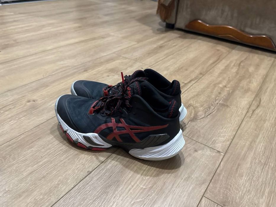 Красовки асікс асикс