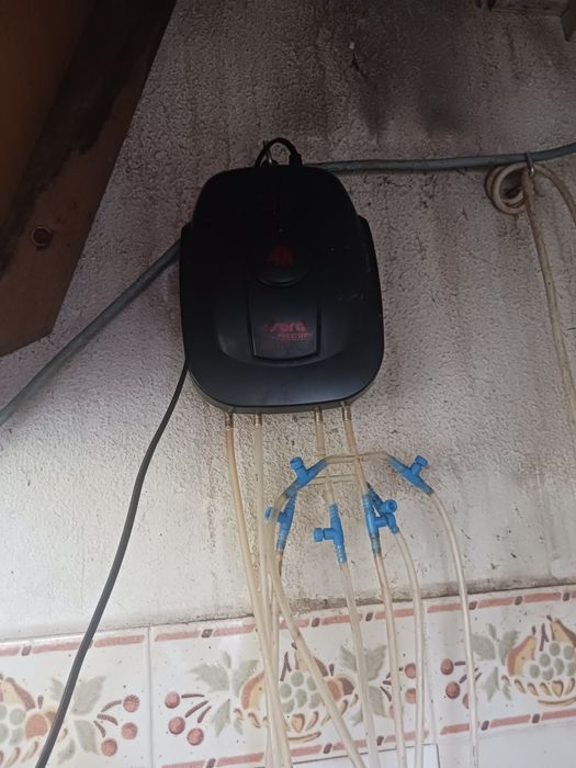 Bombas de ar "SERA" 550R Plus