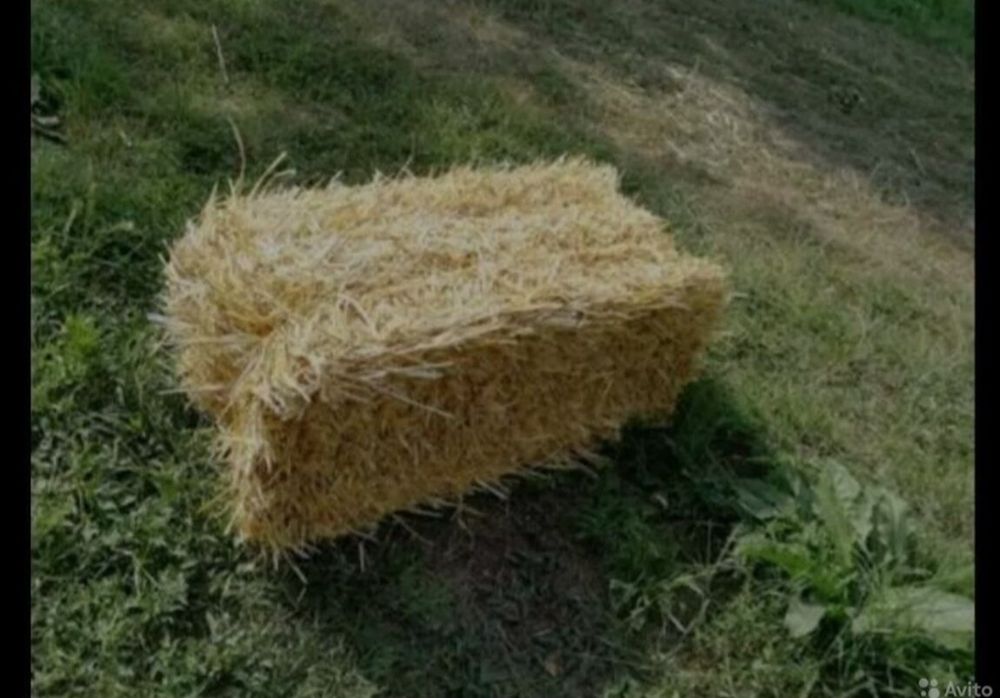 Продам тюки ячмінної та вівсяної соломи