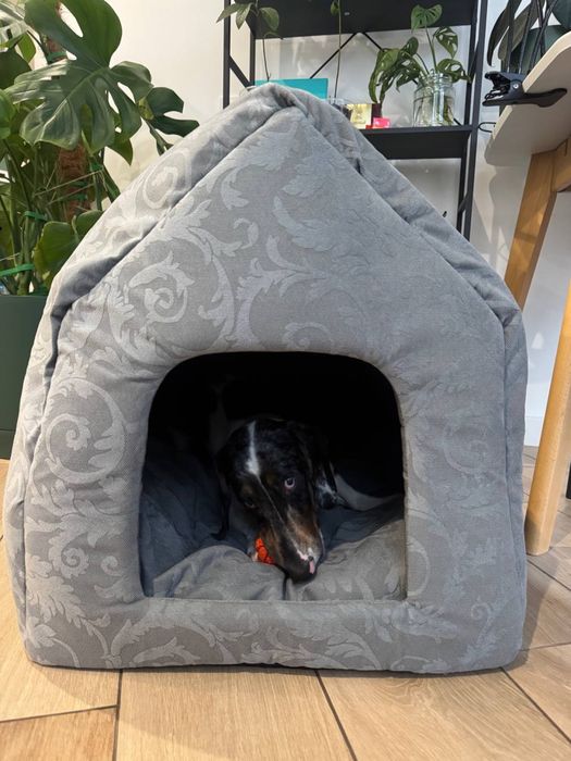 Будинок Будка лежак лежанки місце доя собак котів тварин недорого