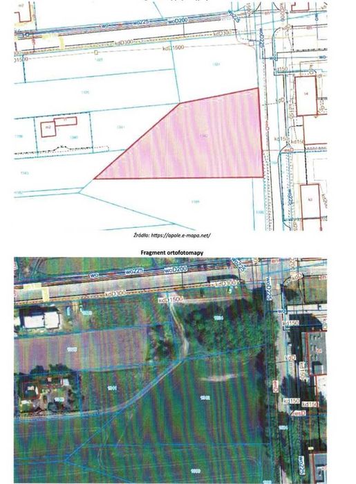DZIAŁKA – Opole, Kolonia Gosławicka