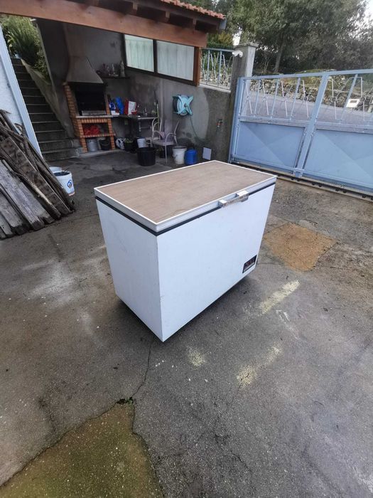 Arca congeladora marca Orima