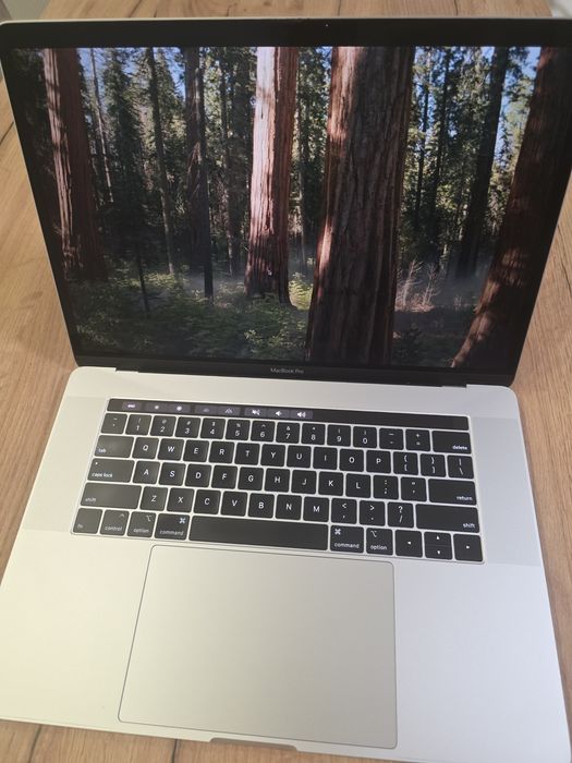 MacBook Pro A1990 (Z0WX) i9/32/512 GB, б/у, Battery health: 74%