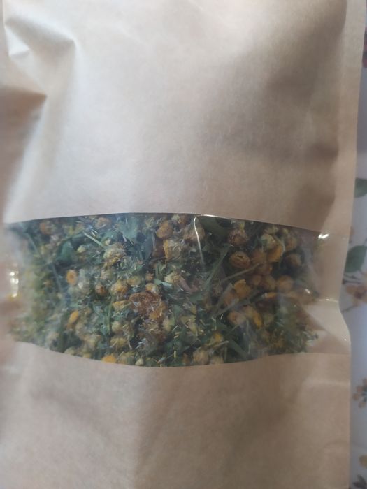 Піжма, збір-08.2025