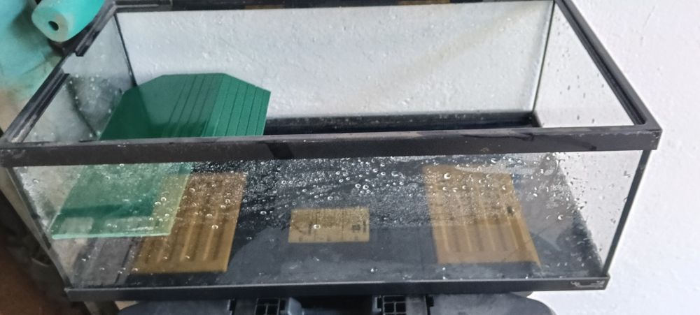 Tartarugueira / aquário