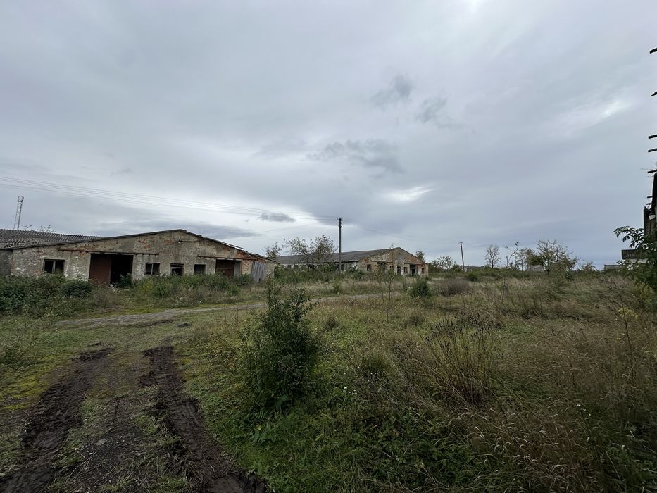 Продам ферму в с. Живачів від Власника, споруди 20,400м2, 16,1га землі