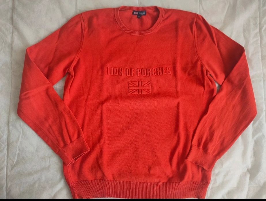 Camisola da Lion of Porches 13/14 anos