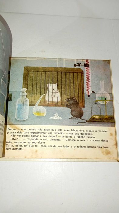 Dois ratos em Viagem - Verbo