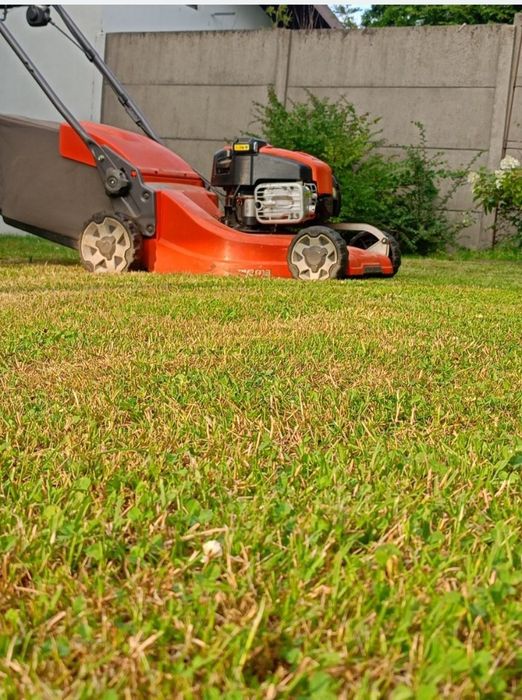 Koszenie trawy i wycinka drzew