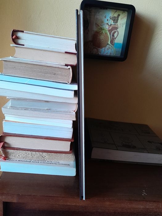 Vasco ‐ O Ouro e o Ferro Nº 1 Gilles Chaillet