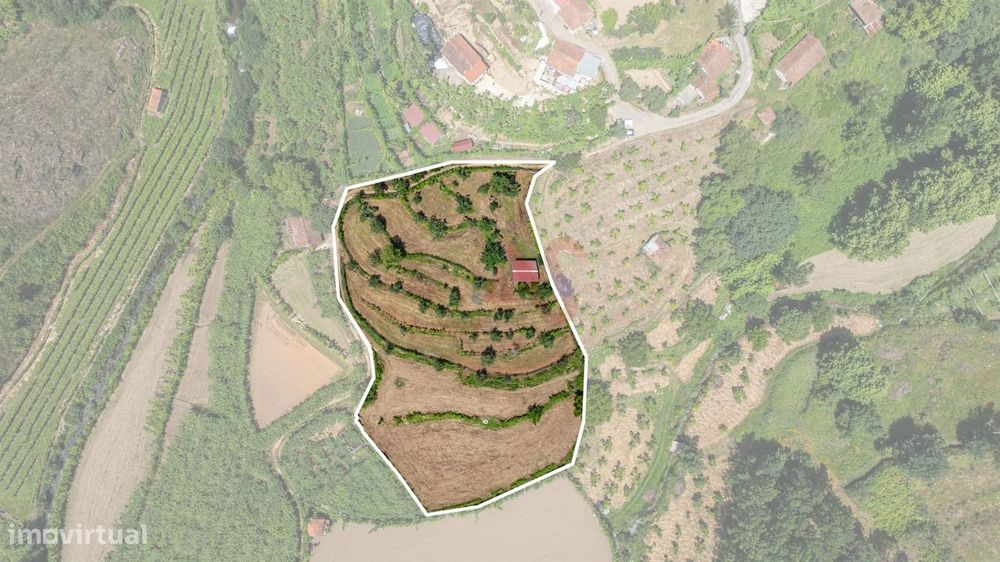 Terreno com 5.000 m² com Potêncial De Construção