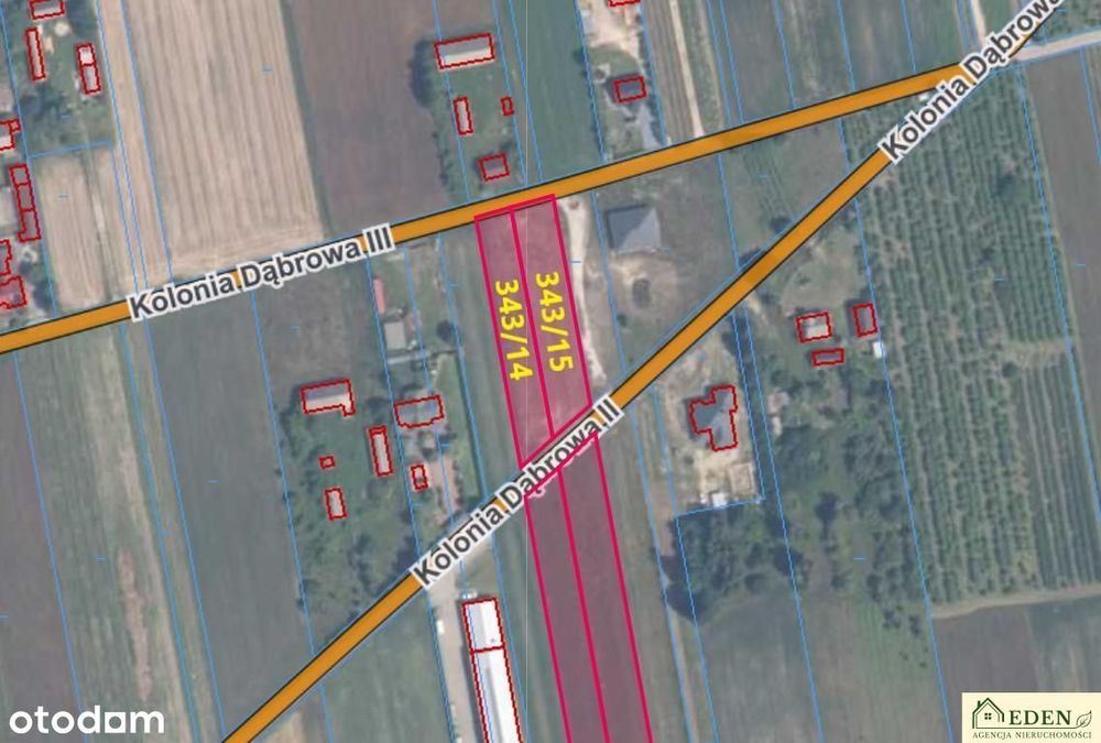 Działka, 11700.0 m², Okrzeja