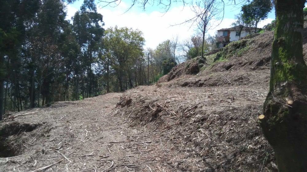 Quinta com casa para reconstrução e vista desafogada – Excelente exposição solar