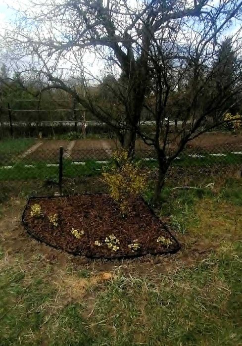 Odsprzedam prawa do działki ROD Żwirki i Wigury w Krakowie