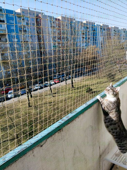 Siatka Na Balkon Dla Kota Montaż Warszawa Bez Siatka Na Balkon Wiercenia Warszawa Krótkie Terminy 1-2 Dni Montaż W Sobotę i Niedziele Warszawa
