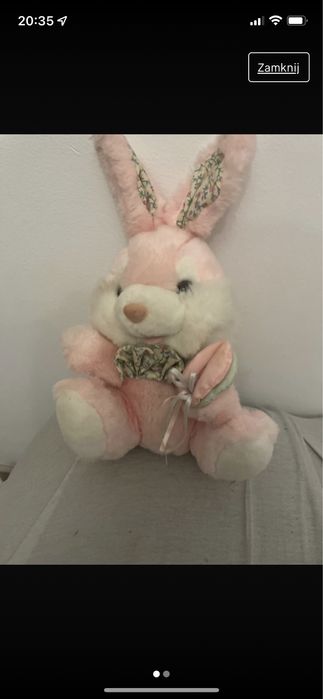 Zajeczek rozowy 10zl